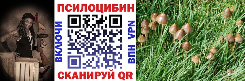 Псилоцибиновые грибы Psilocybine cubensis  купить наркотик  Заволжск 